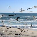 Lamberts Bay