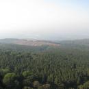 Lajuma