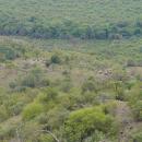 Mago National Park