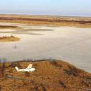 Makgadikgadi Pans