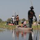 Maun