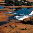 Maun