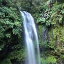 Montagne d'Ambre National Park