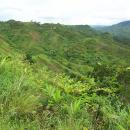 Montagne d'Ambre National Park