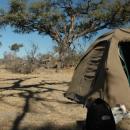 Moremi Wildlife Reserve