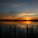 Moremi Wildlife Reserve