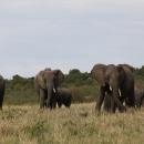 Mudumo National Park