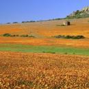 Namaqualand