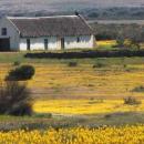 Namaqualand