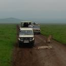 Ngorongoro Conservation Area