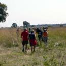 Okavango Delta