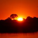 Okavango Delta