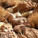 Ouarzazate