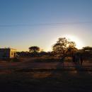 Palapye