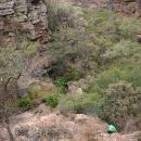 Palapye