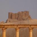 Palmyra