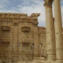 Palmyra