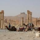 Palmyra