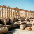 Palmyra