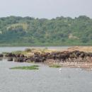 Queen Elizabeth National Park
