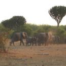 Queen Elizabeth National Park