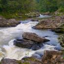 Ranomafana National Park