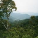 Ranomafana National Park