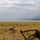 Rift Valley