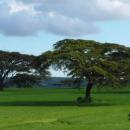 Rift Valley