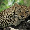 Samburu National Park