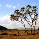 Samburu National Park
