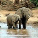 Samburu National Park