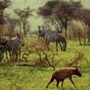 Serengeti National Park