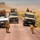 Serengeti National Park