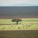 Serengeti National Park