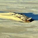 Skeleton Coast National Park