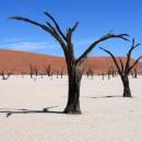 Sossusvlei