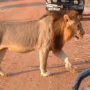 South Luangwa National Park