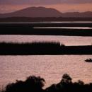 St. Lucia Wetlands