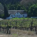 Stellenbosch