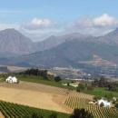 Stellenbosch