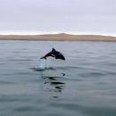 Swakopmund