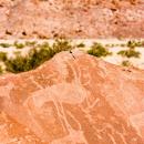 Twyfelfontein