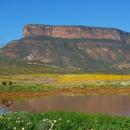 Vanrhynsdorp