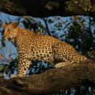 Victoria Falls to Nairobi