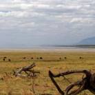East Africa Loop
