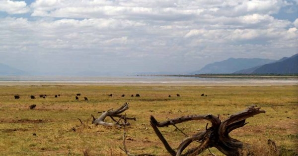 East Africa Loop