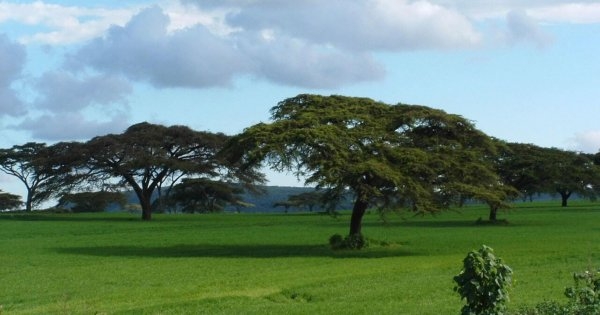 East Africa Loop