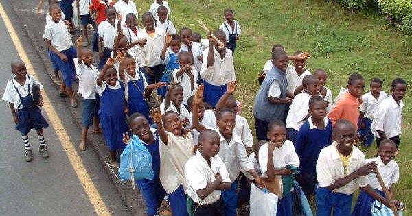 Nairobi, Gorillas to Johannesburg