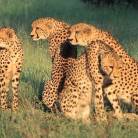 Nairobi to Johannesburg